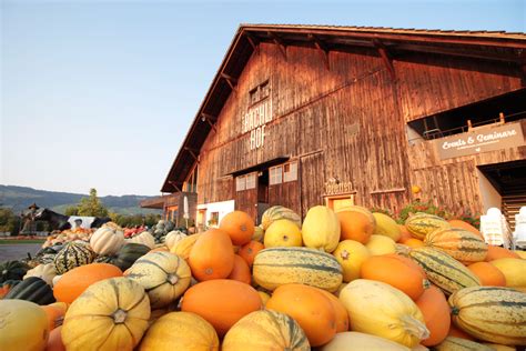 juckerhof jona|Jucker Farm